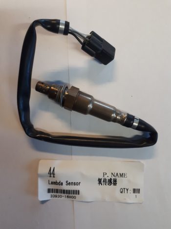 Oxygen Sensor