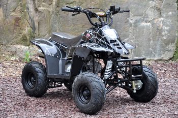 Pioner ATV 110CC Revers