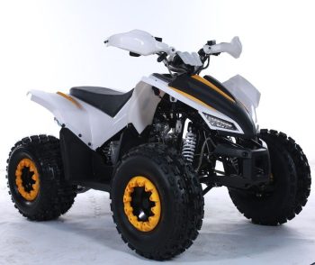Coyote ATV 125cc